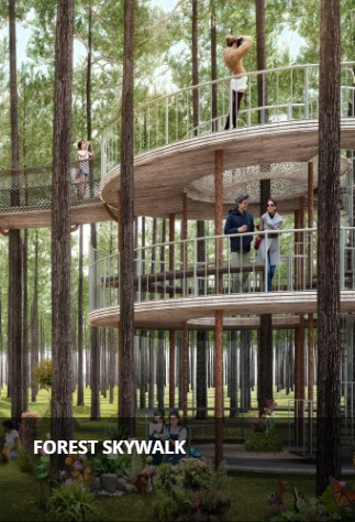 Forest Skywalk