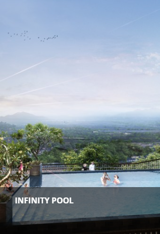 Infinity Pool