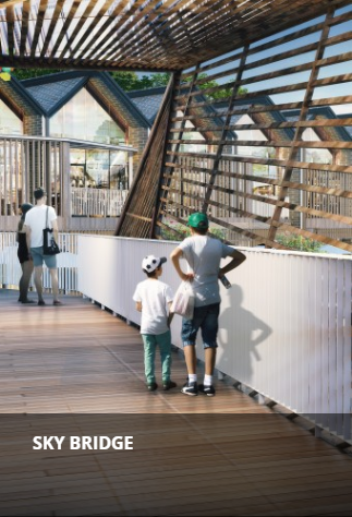 Sky Bridge
